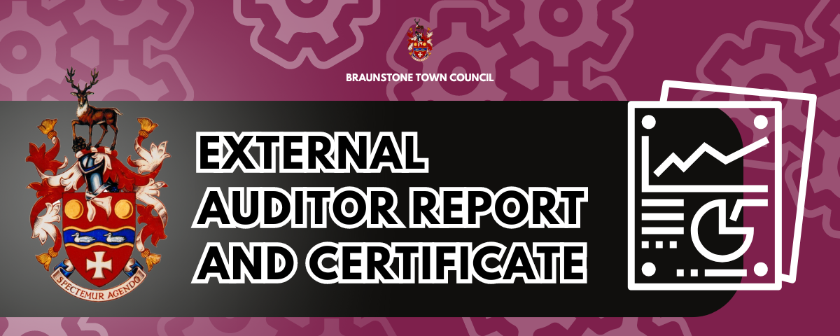 External Auditor Report and Certificate