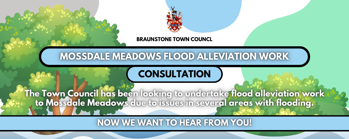 Mossdale Meadows Flood Alleviation Work Consultation